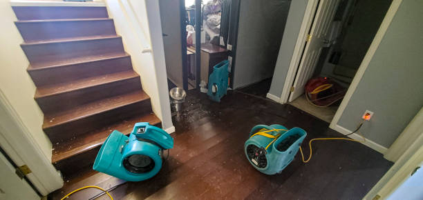 Best Fire Damage Restoration  in Bear, DE