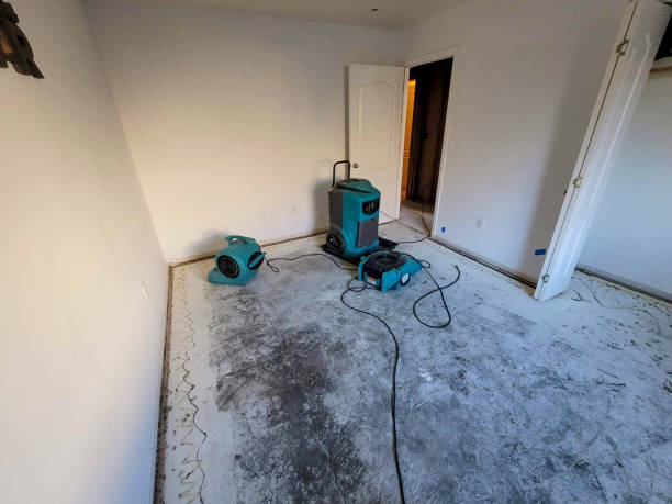 Best Emergency water damage restoration  in Bear, DE