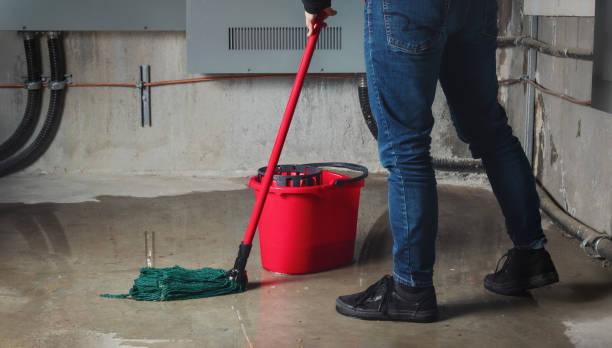 Best Flooded house restoration  in Bear, DE