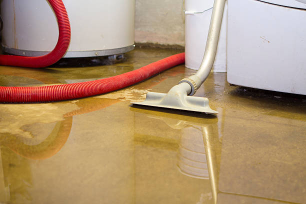 Best Sewage cleanup and water damage restoration  in Bear, DE