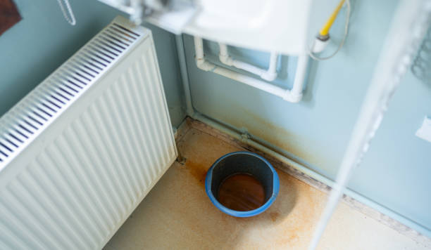 Best Water damage cleanup near me  in Bear, DE